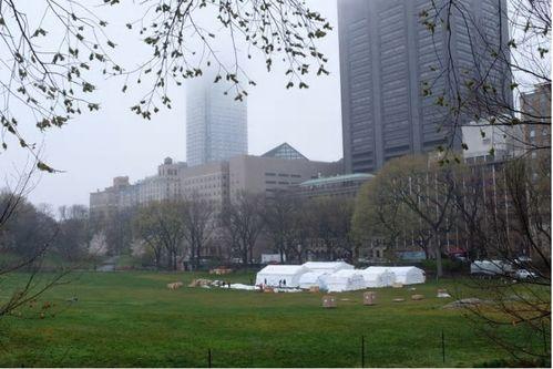 新宿野战医院,战地救护的生死较量 第2张 新宿野战医院,战地救护的生死较量 第2张